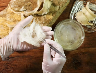 Cách Bảo Quản Yến Sào Đúng Chuẩn Để Giữ Trọn Dinh Dưỡng Và Hương Vị Tự Nhiên