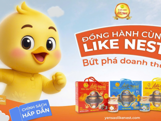Vì Sao Nhiều Đại Lý Lựa Chọn Kinh Doanh Cùng Like Nest?