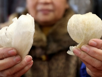 Phân Biệt Yến Sào Thật Và Giả Chỉ Bằng Mắt Thường