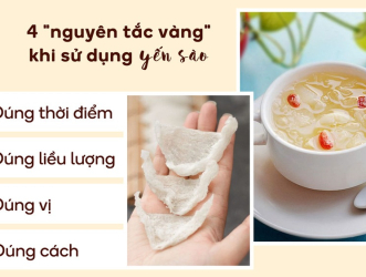 Liều Lượng Ăn Yến Sào Theo Hủ Của Like Nest – Sử Dụng Đúng Cách Để Đạt Hiệu Quả Tối Ưu