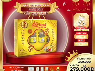 Yến sào – Bí quyết phục hồi sức khỏe hiệu quả sau bệnh